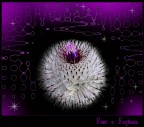 fiori e fantasia fiori e fantasia