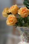 rose e rose rose e rose