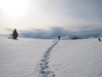 Fuori dai soliti sentieri Fuori dai soliti sentieri