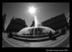 in piazza... in piazza...