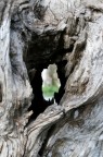Il Buco Il Buco