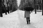PASSEGGIATA INVERNALE PASSEGGIATA INVERNALE