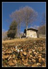 Timido inizio di primavera