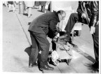 shoe-shine shoe-shine