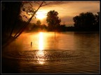 After the Rain After the Rain