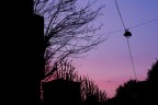 Alba 1 Alba 1