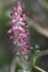 macro 5 macro 5