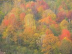 Autunno Autunno