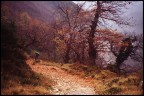 Autunno sulle Apuane 2 (diverso taglio)