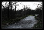 The Way...