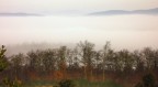 nebbia nebbia