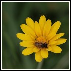 Una sosta e poi via...