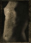 Body Scapes Body Scapes