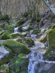 Fiume Fiume