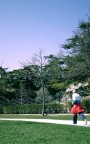 runner runner