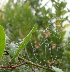 Cristalli Cristalli