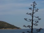 Mare & Frattali Mare & Frattali