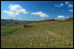 Chianti DOCG Chianti DOCG