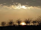Tramonto Tramonto