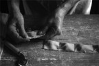 Tortelli... Tortelli...