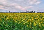 Crepuscolo in giallo...... Crepuscolo in giallo......