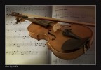 Violino