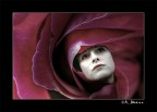 Ricerche femminili Ricerche femminili