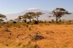 Savana Savana