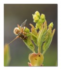 aggrappata fino alla fine aggrappata fino alla fine