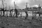 Finestra Finestra