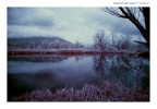 Ice land Ice land
