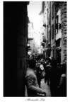 La via#1 La via#1