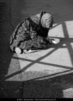 Porca miseria Porca miseria