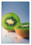 kiwi kiwi