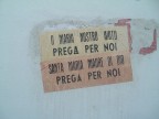 maria.... maria....