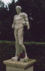 grattatio pallarum omnia pericula perfugit grattatio pallarum omnia pericula perfugit