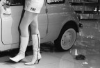 Particolare di "W l'Italia" Particolare di "W l'Italia"