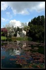 -Giardini Inglesi- -Giardini Inglesi-