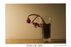 end of life end of life