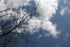 verso il cielo verso il cielo