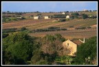 Case tra i campi... Case tra i campi...
