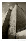 Torre dell'elefante #2
