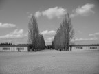 Dachau
