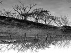 riflessi... riflessi...