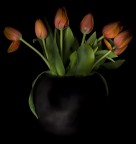 dipingendo i tulipani