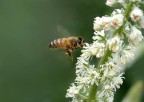 In volo 2 In volo 2