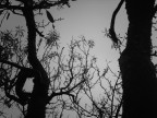 nature nature