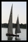 sailing the nile