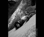 verso il basso verso il basso