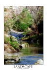 torrente torrente